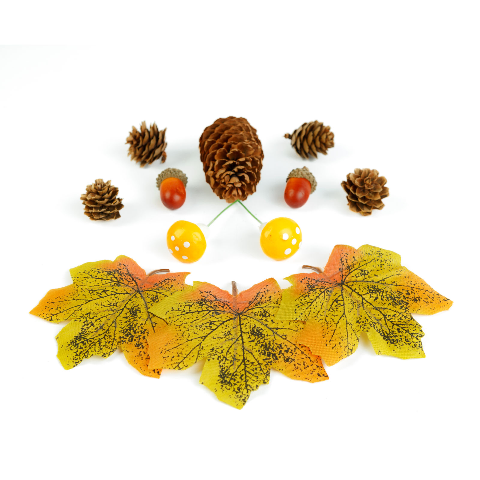 Decorațiune de toamnă – set frunze, conuri de brad și dovleci – 4 modele Best CarHome