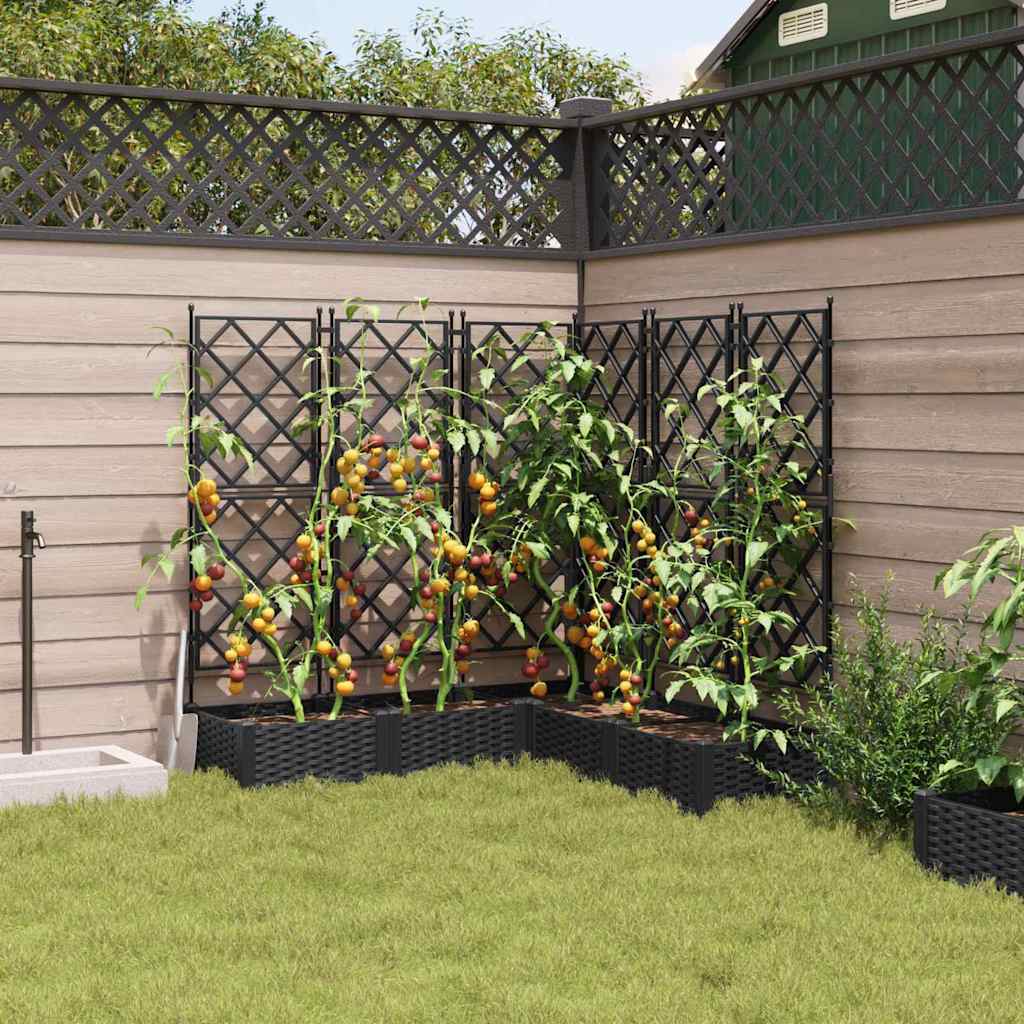 Ghiveci de grădină cu trellis 5 pcs Negru 120 x 120 x 125.5 cm GartenMobel Dekor