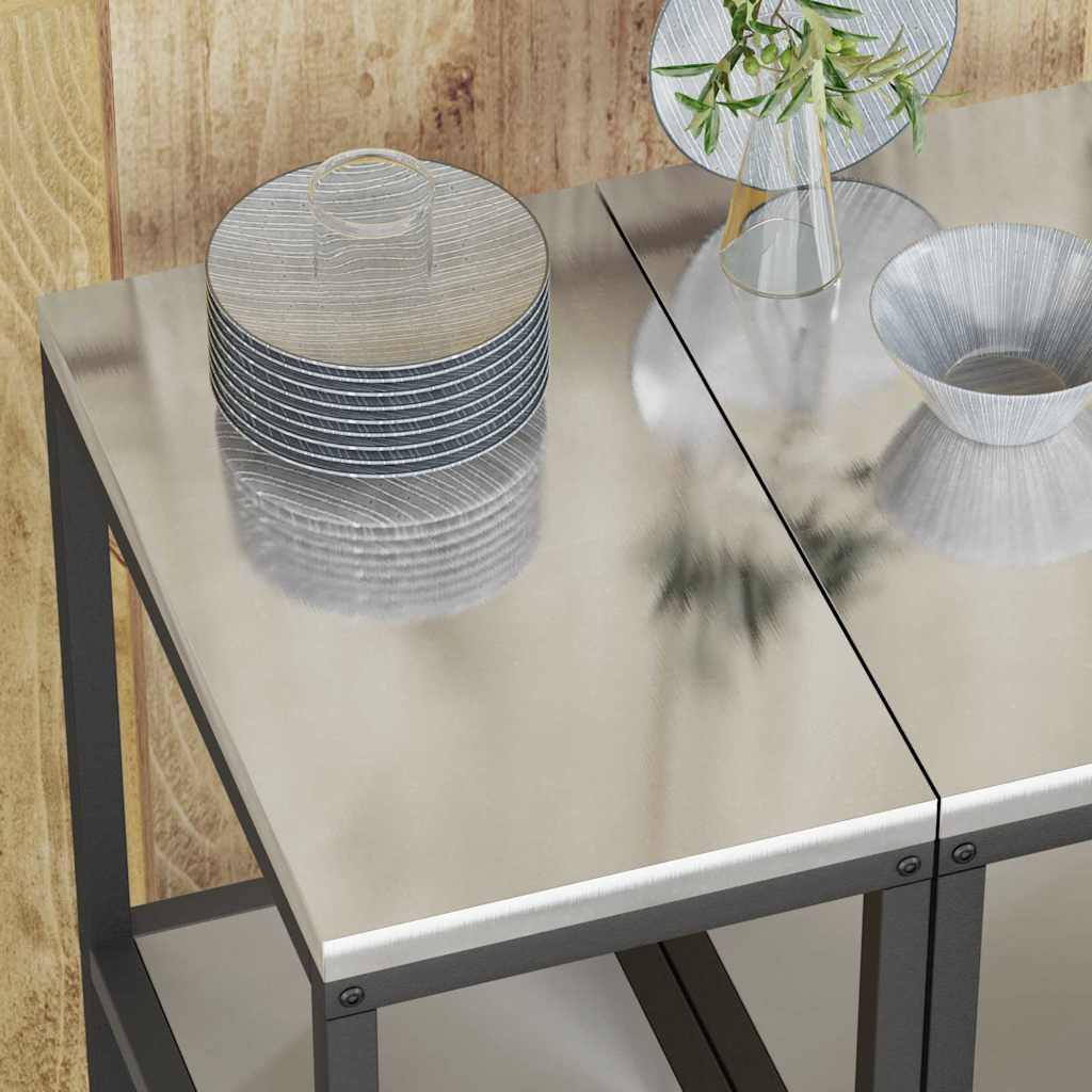 Raft de depozitare pentru bucătărie Argintiu Oțel inoxidabil GartenMobel Dekor