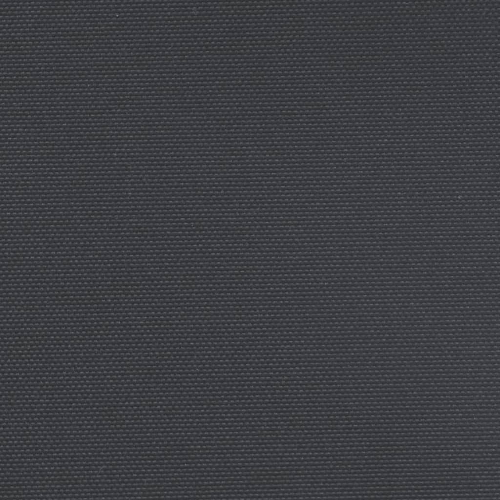 Copertină laterală retractabilă, negru, 200x1000 cm GartenMobel Dekor
