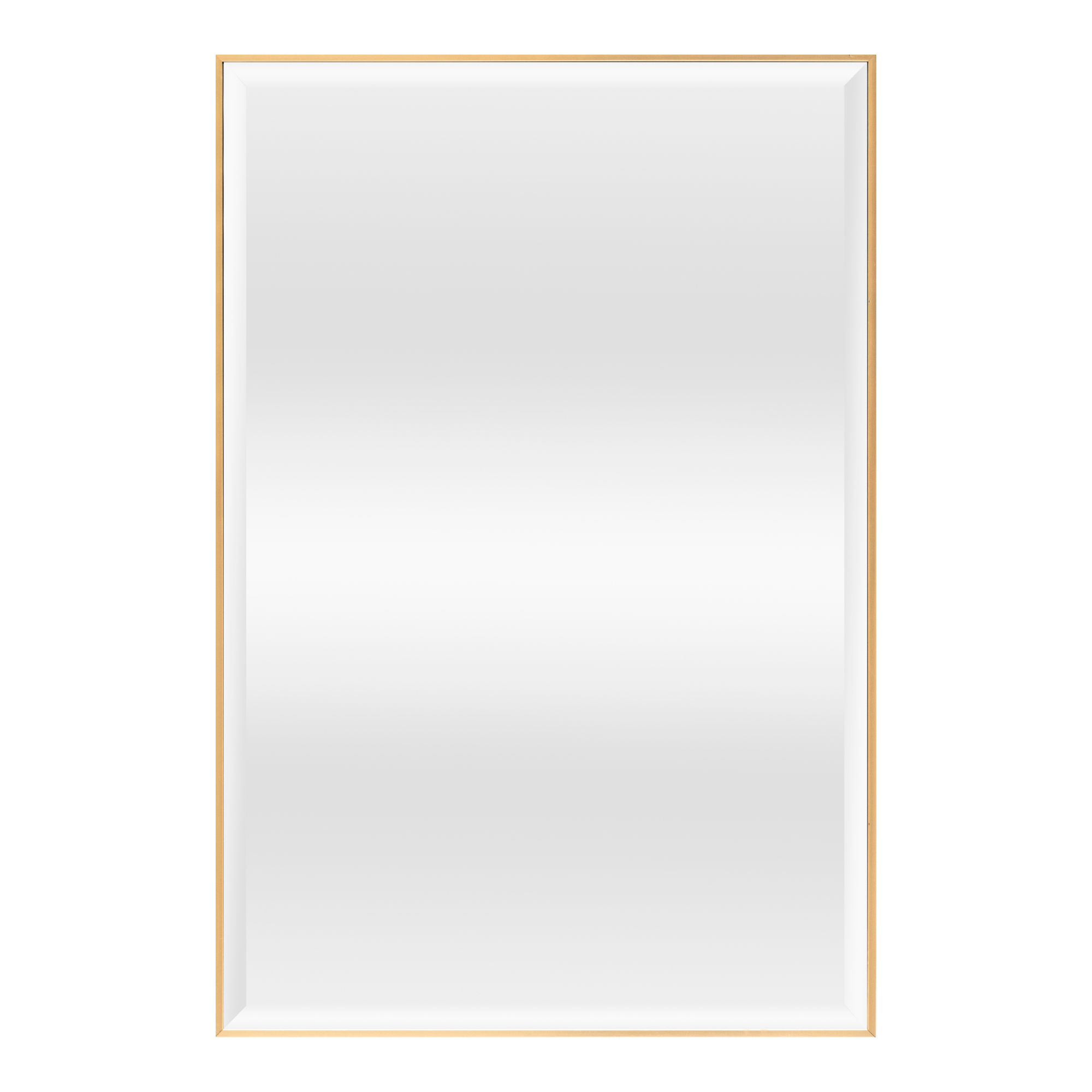 Oglinda de perete, en.casa, Novoli, 91,8 x 61,8 cm, plastic, auriu, dreptunghiulara HausGarden Leisure