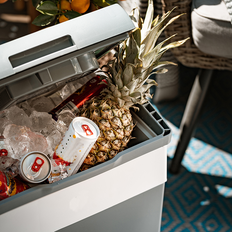 LADA FRIGORIFICA PORTABILA 28L ADLER EuroGoods Quality