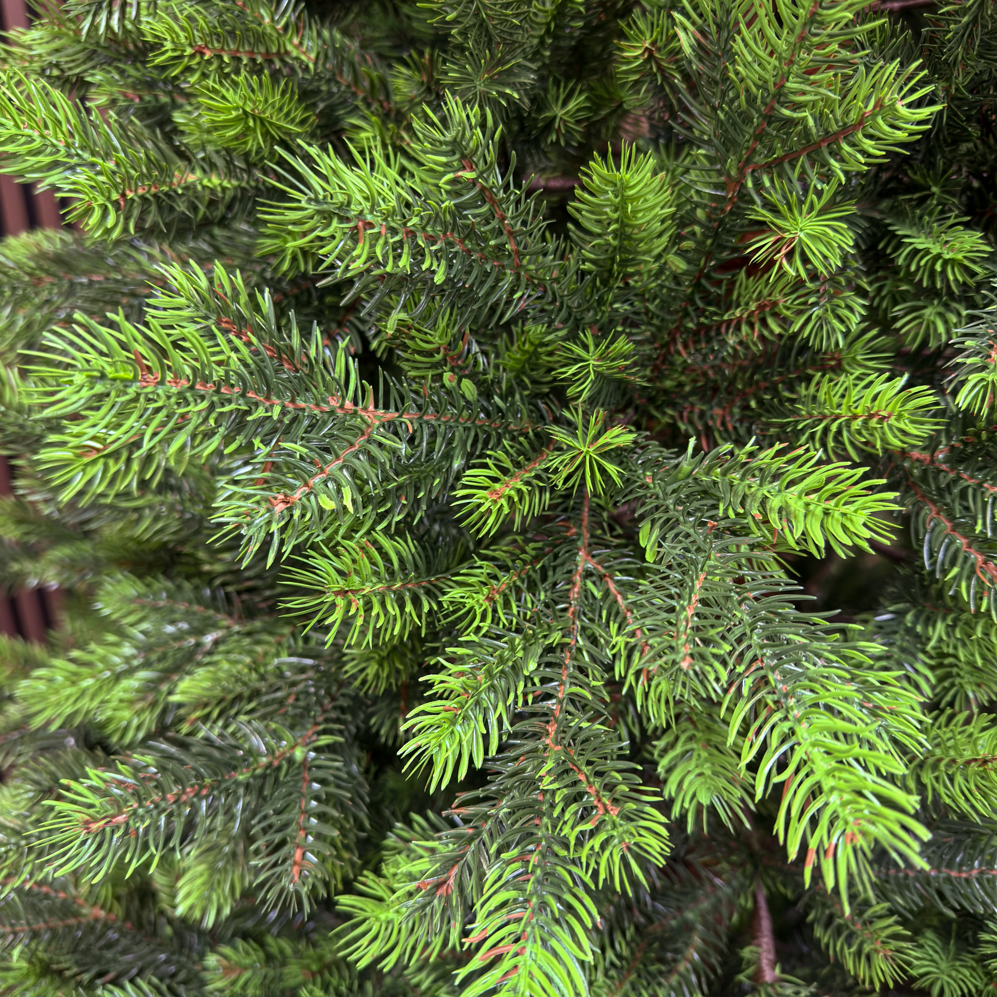 Brad artificial Sersimo, Hollandia, verde cu varfuri verzi, integral 3D, 210 cm Household NewTrend