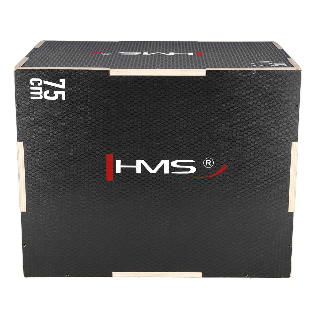 Cutie Pliometrica HMS DSC02 FitLine Training