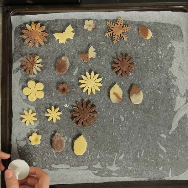 Leziter Set de forme pentru biscuiți CookiePro, 47 de piese Mobalis Homvera