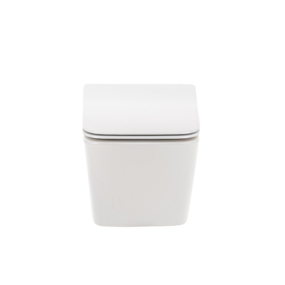 Leziter Toaletă Tina, montată pe perete, fără ramă, cu capac cu închidere silențioasă Mobalis Homvera