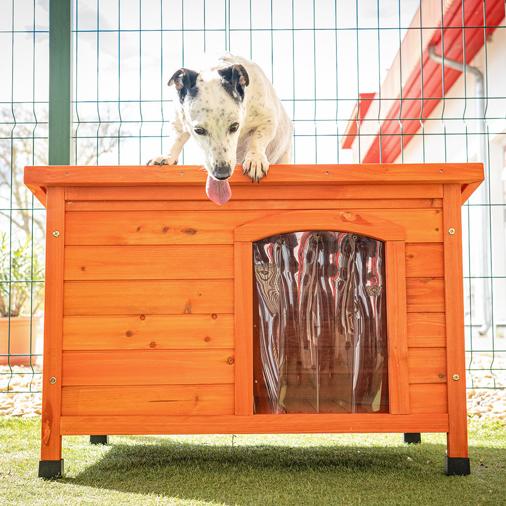 Leziter Casă de câine Smiley Basic Mobalis Homvera