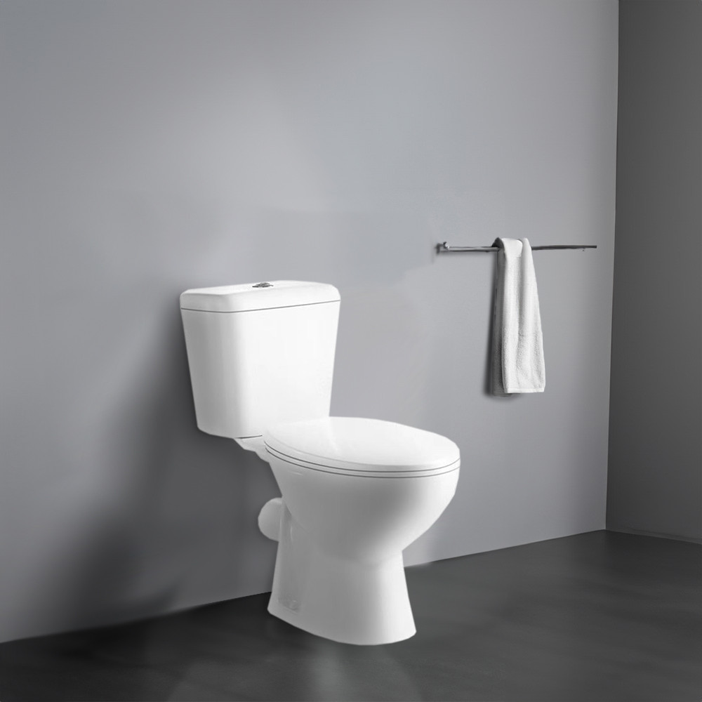 Leziter Toaletă monobloc Cleano cu evacuare spate și scaun Mobalis Homvera