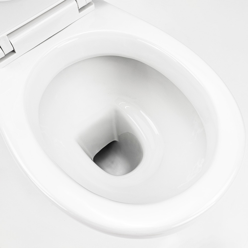 Leziter Toaletă monobloc Cleano cu evacuare spate și scaun Mobalis Homvera