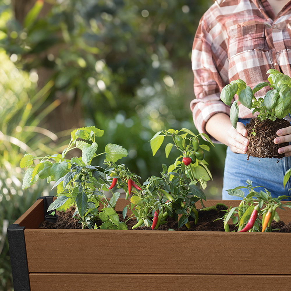 Curver Cutie de flori din plastic Darwin pentru grădină, RPO Mobalis Homvera