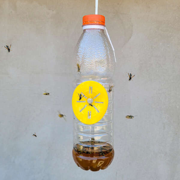 Leziter Capcană de insecte pentru grădină Catchix Mobalis Homvera