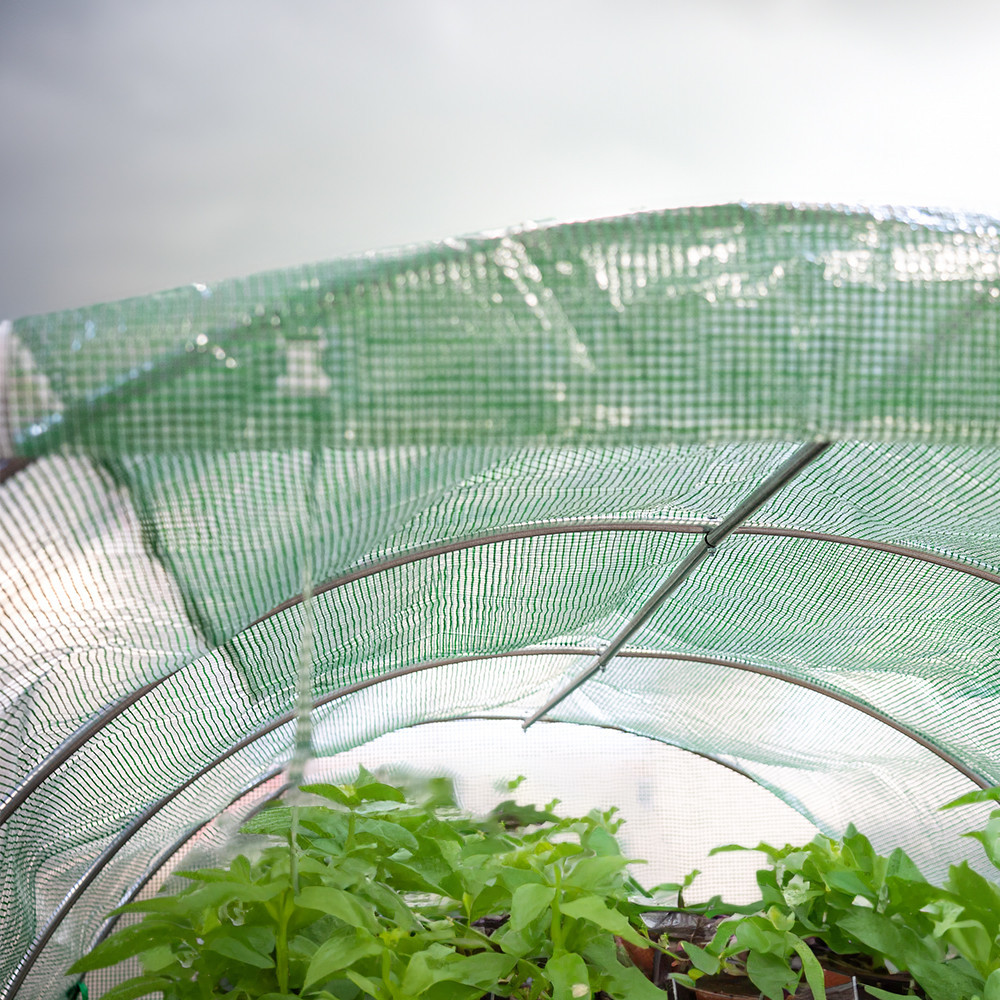 Leziter Cort din folie 200x300x600 cm cu cadru din folie ranforsată Mobalis Homvera