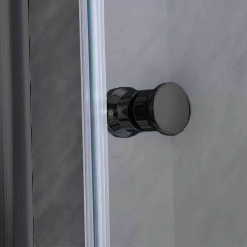 Leziter Ușă de duș reglabilă flexibilă 96-111x185 cm Mobalis Homvera