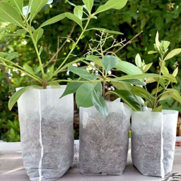 Leziter Saci Lookgrow pentru răsaduri Mobalis Homvera