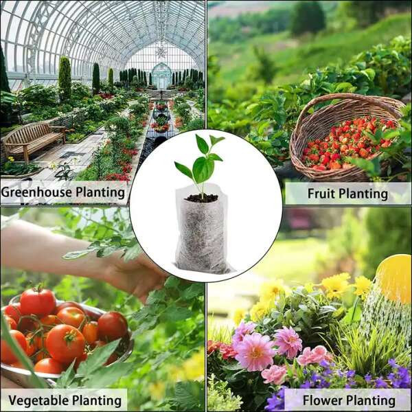 Leziter Saci Lookgrow pentru răsaduri Mobalis Homvera