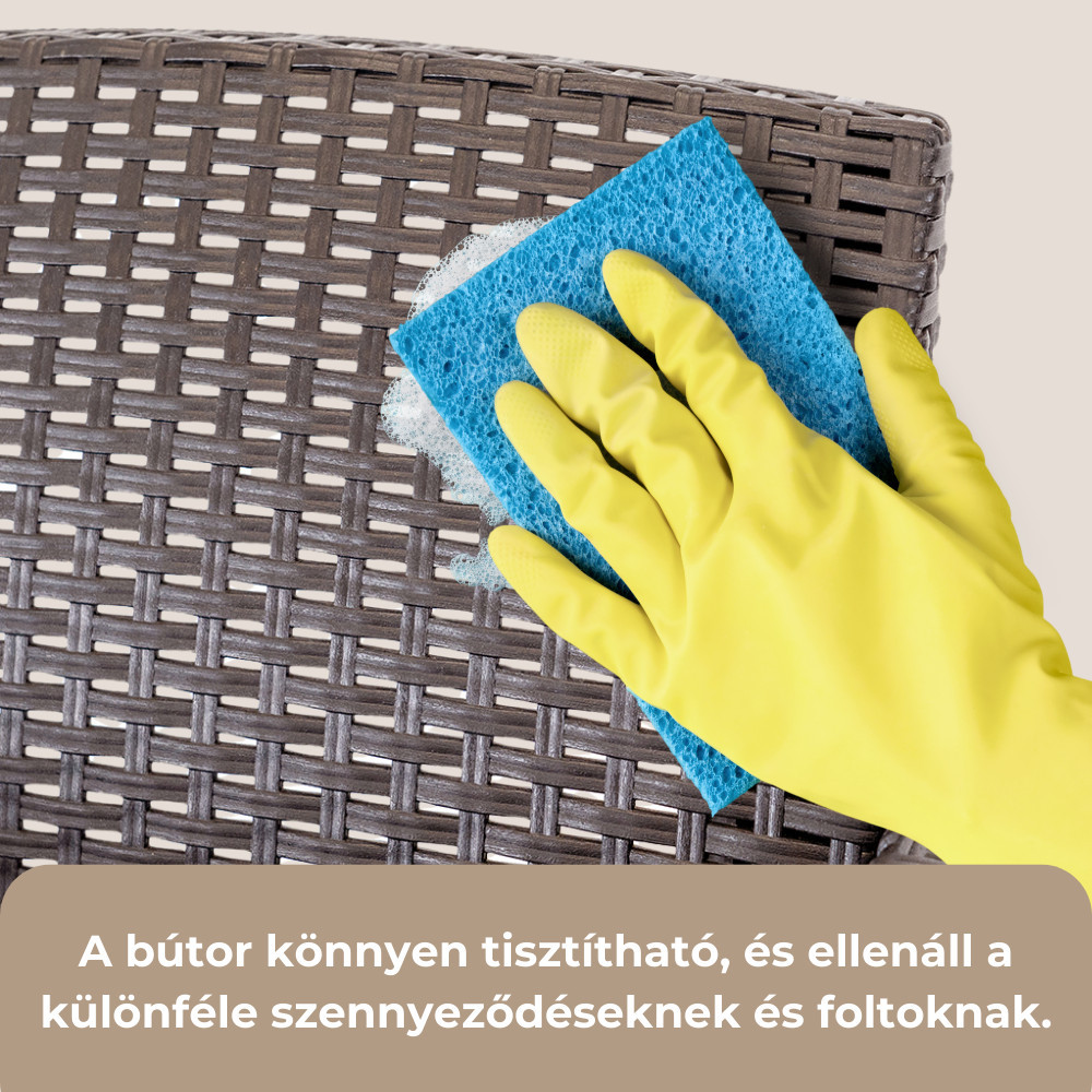 Leziter Set de mobilier de grădină Venus cu 4 locuri Mobalis Homvera