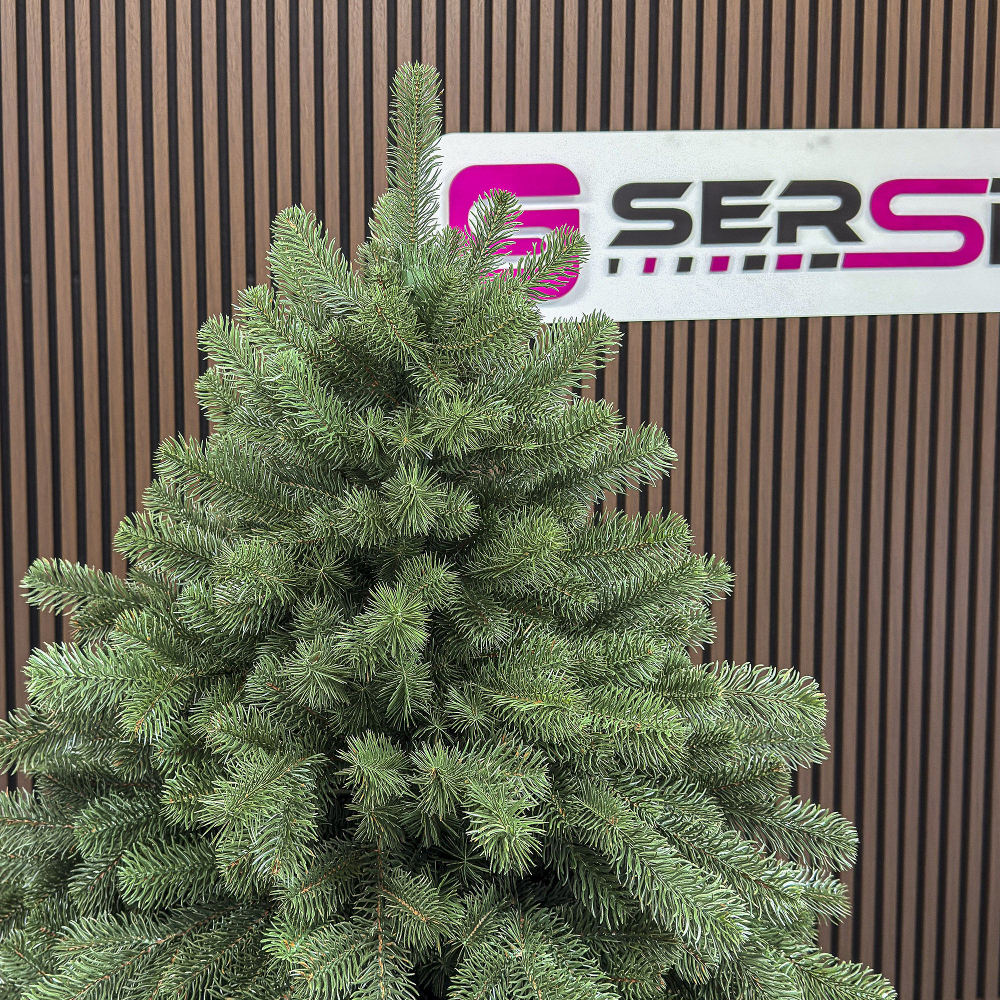 Brad artificial Christmas Deluxe by Sersimo, Versailles Select, integral 3D, 210cm Household NewTrend