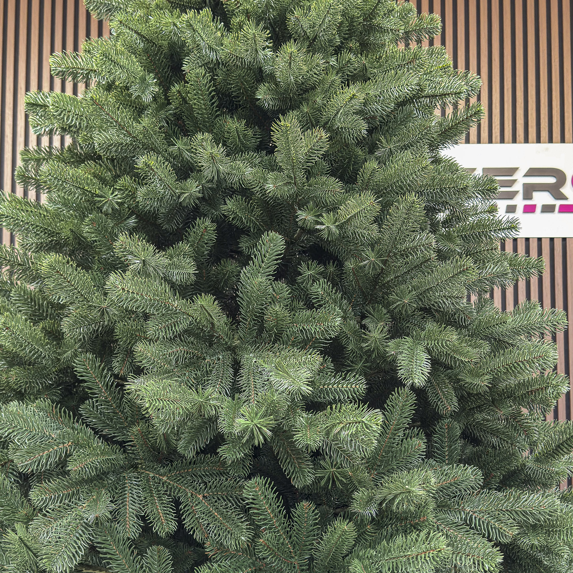 Brad artificial Christmas Deluxe by Sersimo, Versailles Select, integral 3D, 210cm Household NewTrend