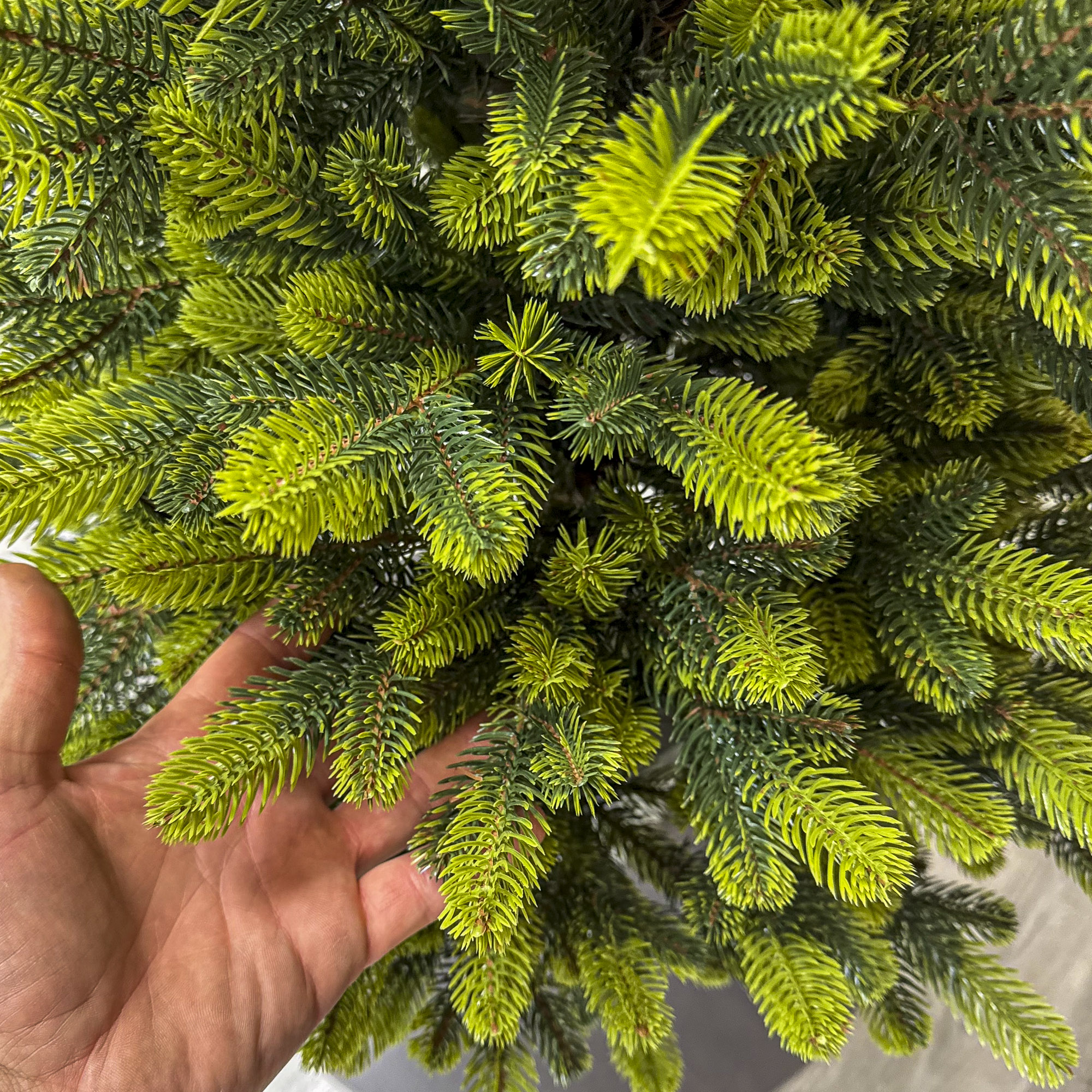 Brad artificial Christmas Deluxe by Sersimo, Viena Elite Spring in ghiveci, 3D, 110 cm Household NewTrend