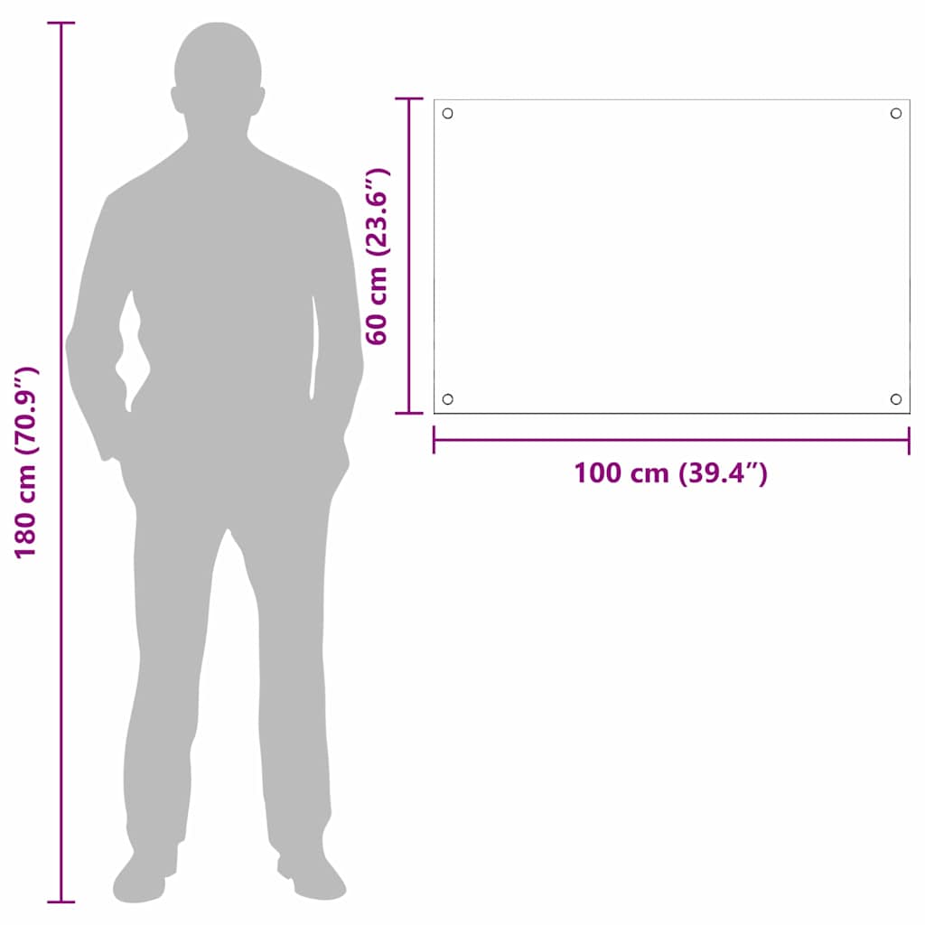 Spate de bucătărie Transparent 100 x 60 cm sticlă securizată GartenMobel Dekor