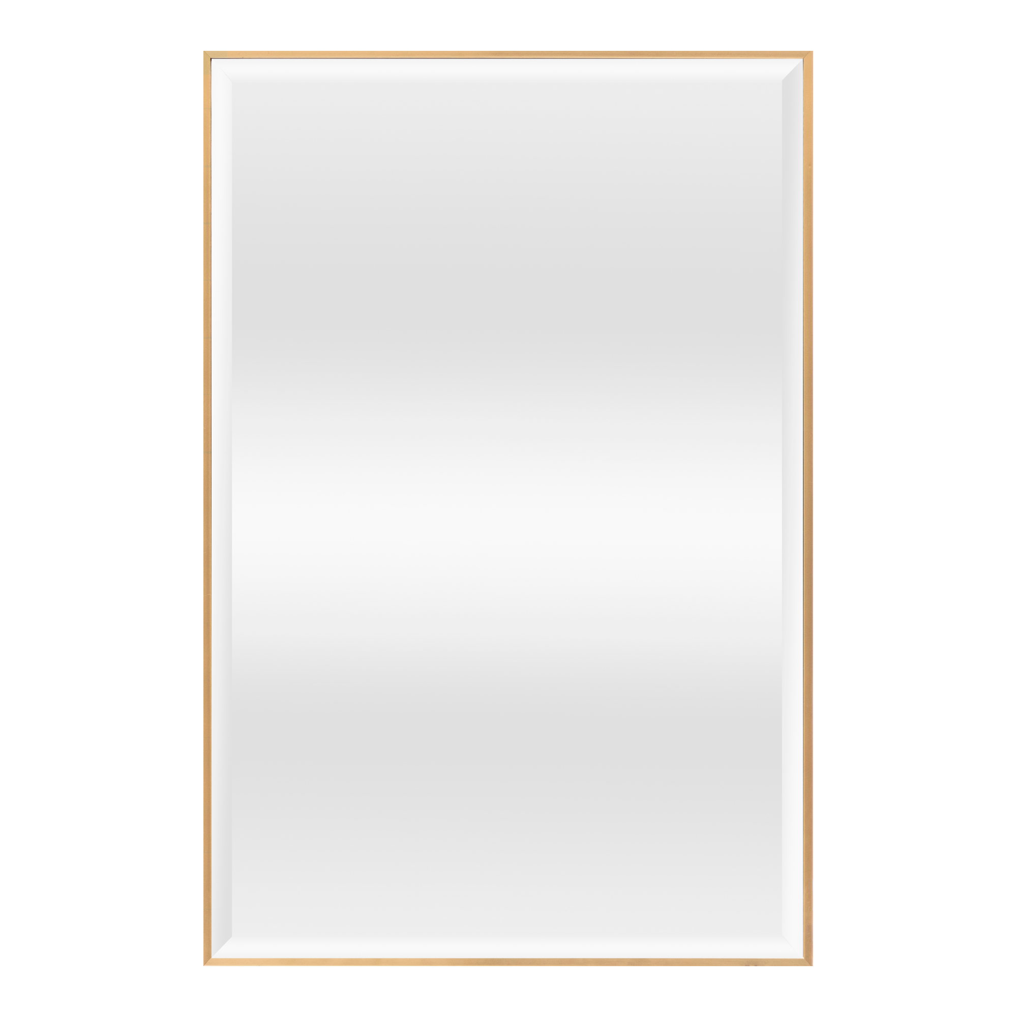 Oglinda de perete, en.casa, Novoli, 71,8 x 51,8 cm, plastic, auriu, dreptunghiulara HausGarden Leisure