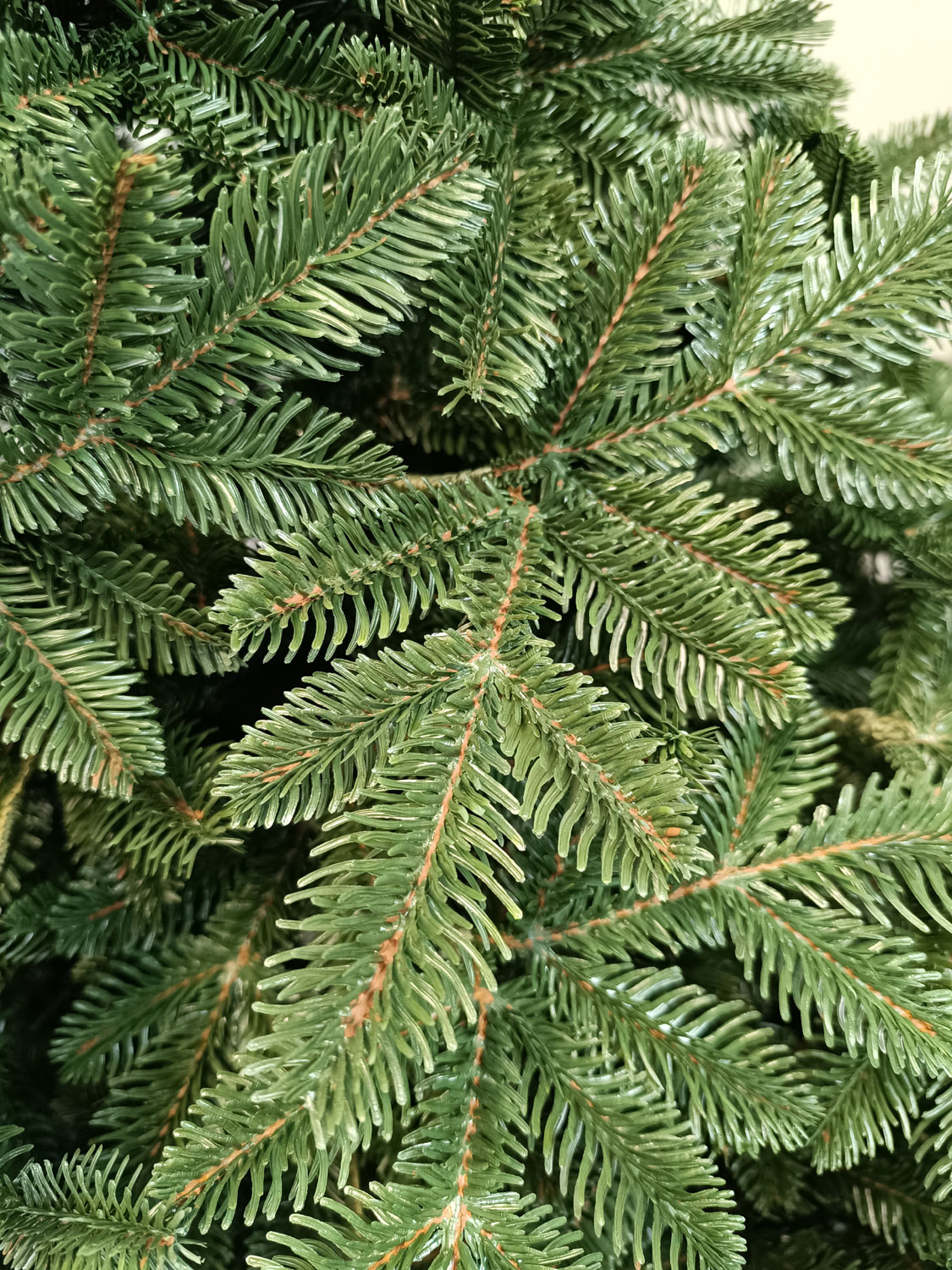 Brad artificial Christmas Deluxe by Sersimo, Canada verde, 3D, 250cm Household NewTrend