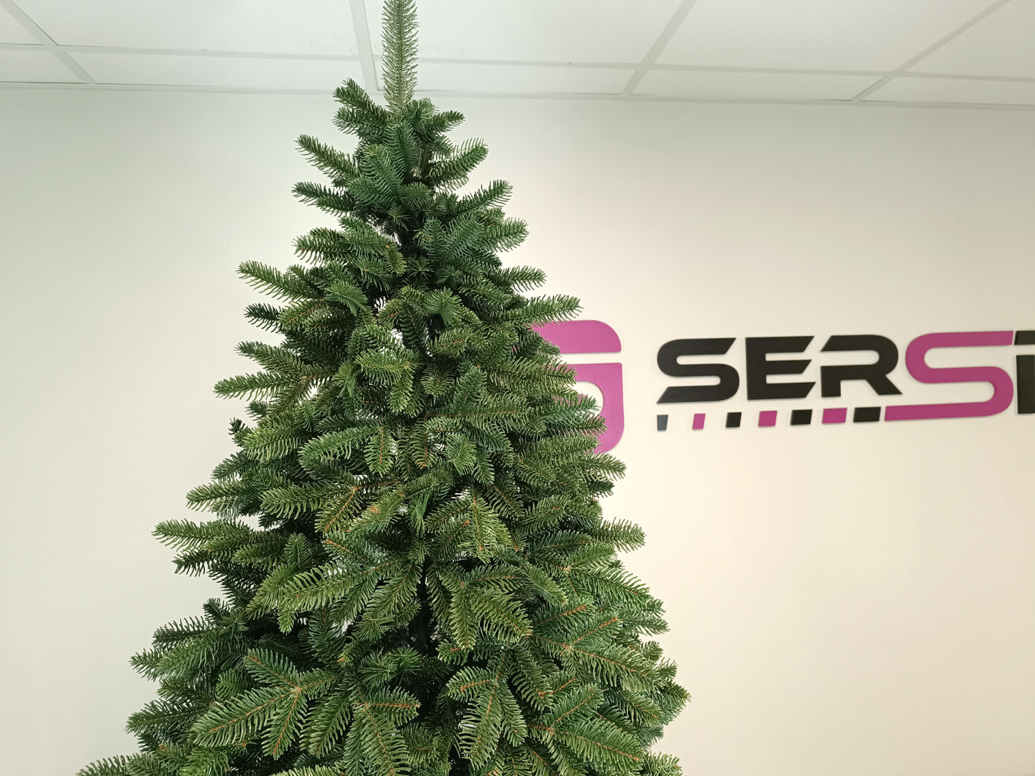 Brad artificial Christmas Deluxe by Sersimo, Canada verde, 3D, 250cm Household NewTrend