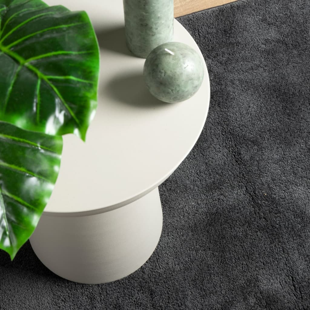 Covor „OVIEDO”, fire scurte, antracit, 240x240 cm GartenMobel Dekor