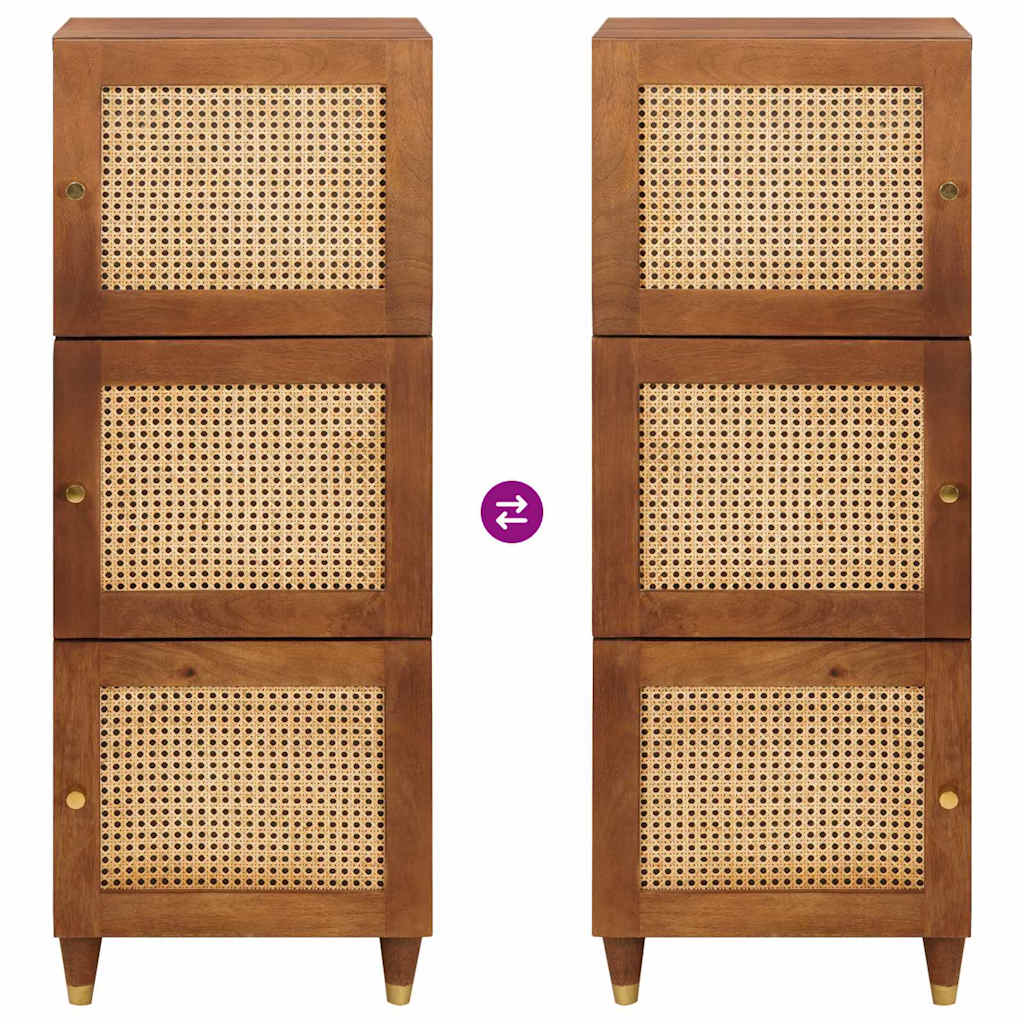 Raft înalt Maro 40 x 33.5 x 110 cm Ratan și lemn solid de mango GartenMobel Dekor