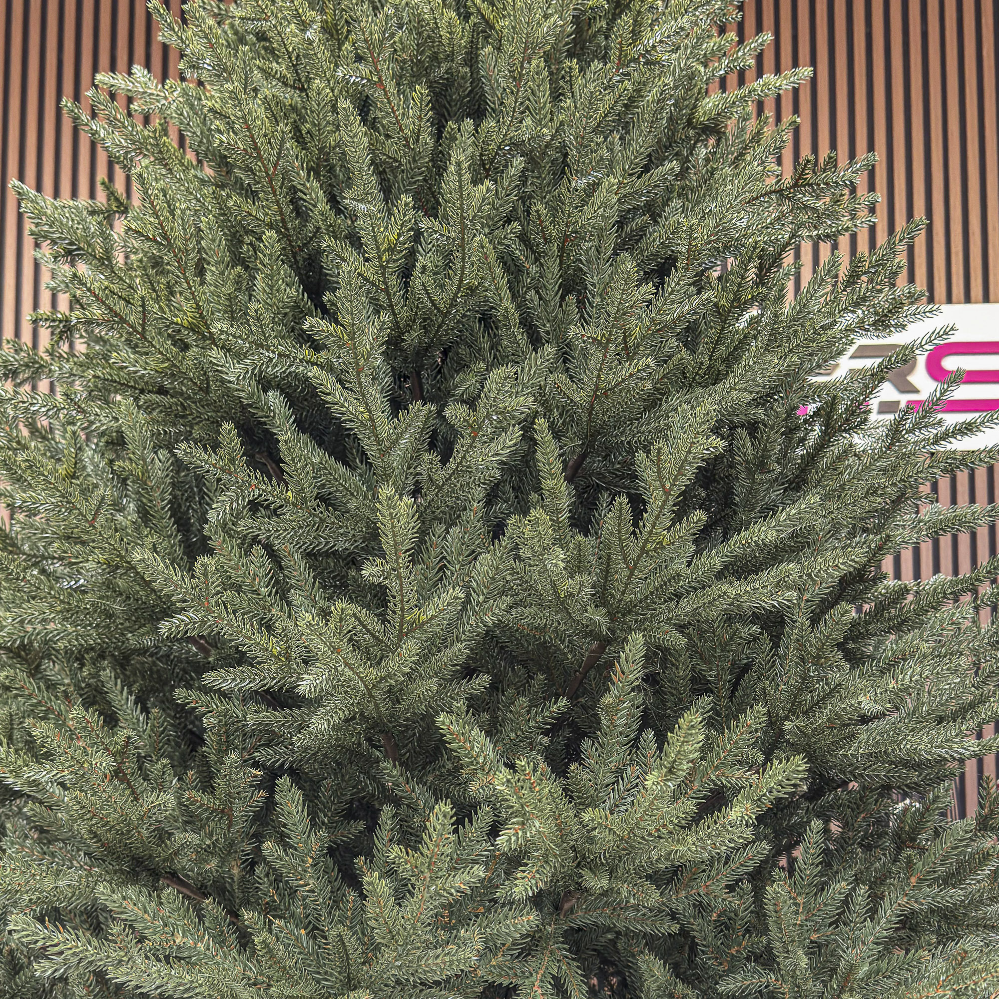 Brad artificial Sersimo, Ayenna Elite, verde, integral 3D, 240 cm Household NewTrend