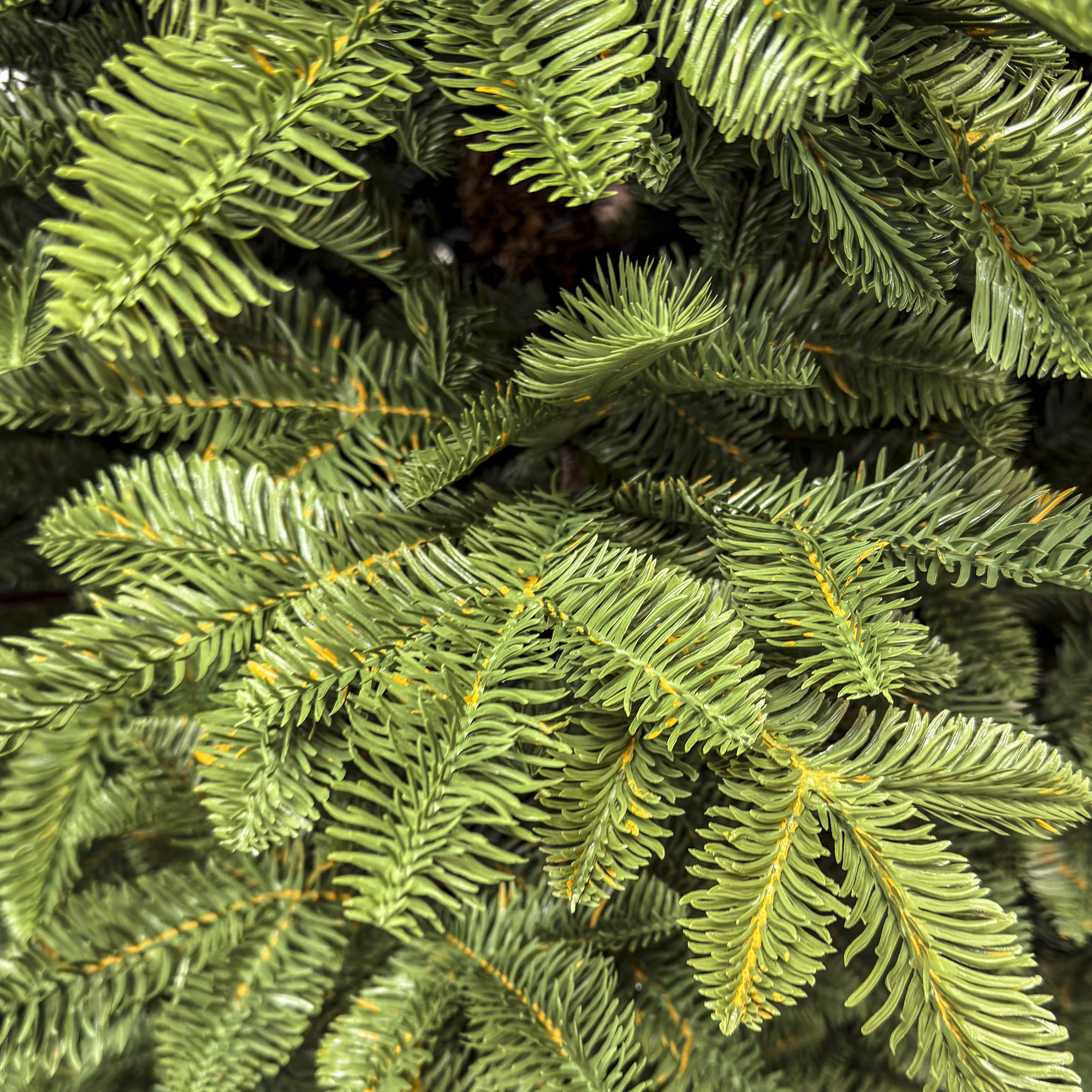 Brad artificial Sersimo, Mariális Elite, verde, integral 3D, 230 cm Household NewTrend