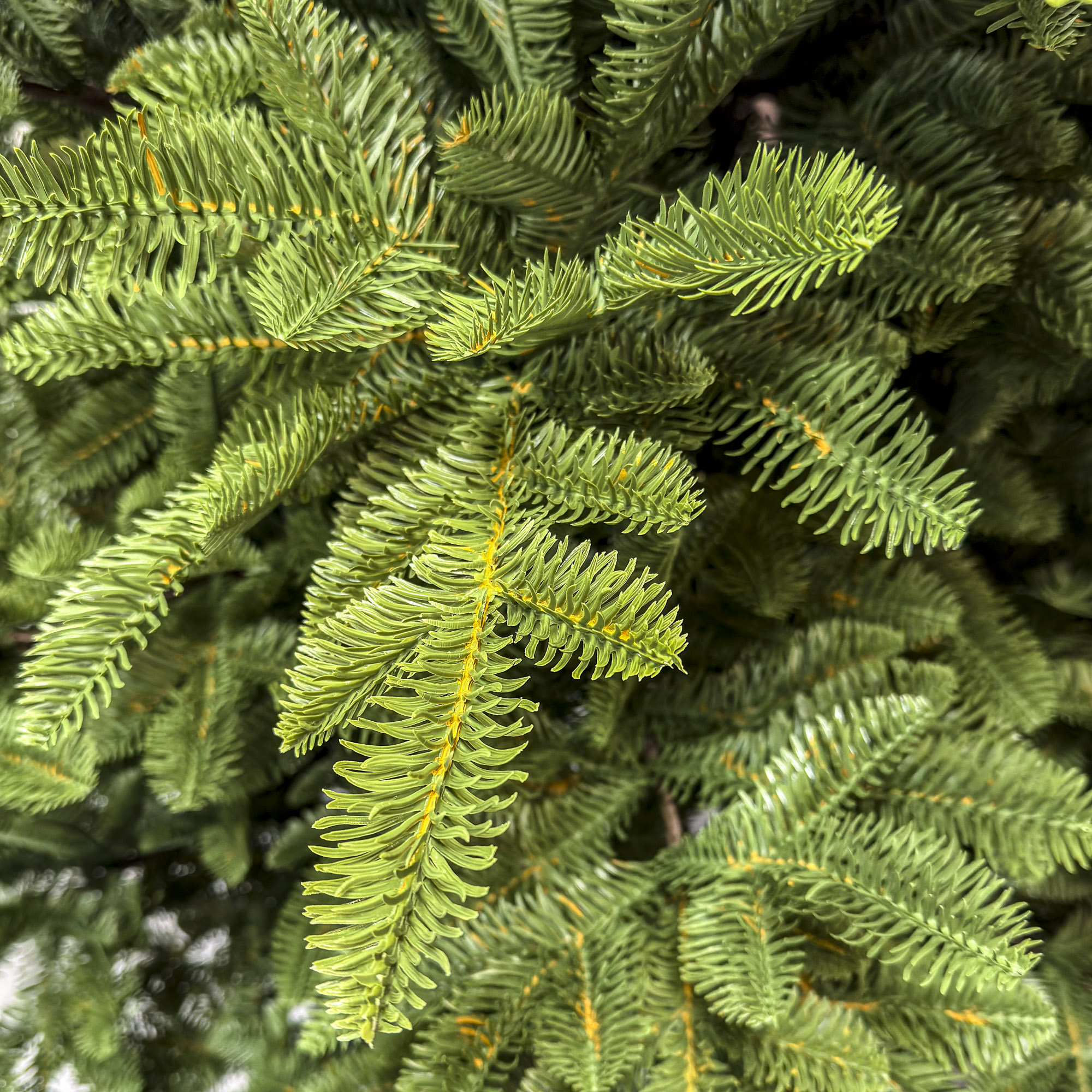 Brad artificial Sersimo, Mariális Elite, verde, integral 3D, 230 cm Household NewTrend