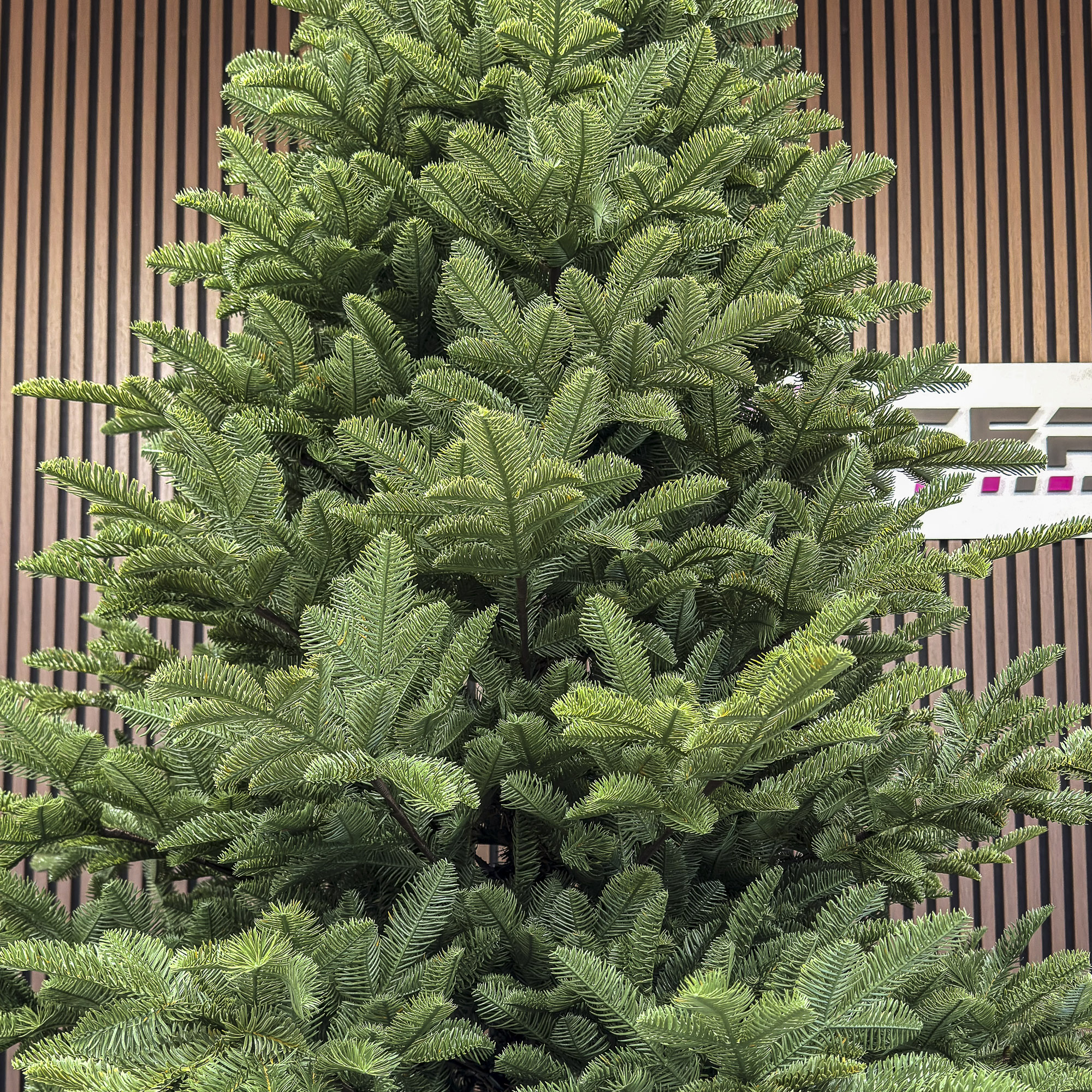 Brad artificial Sersimo, Mariális Elite, verde, integral 3D, 230 cm Household NewTrend