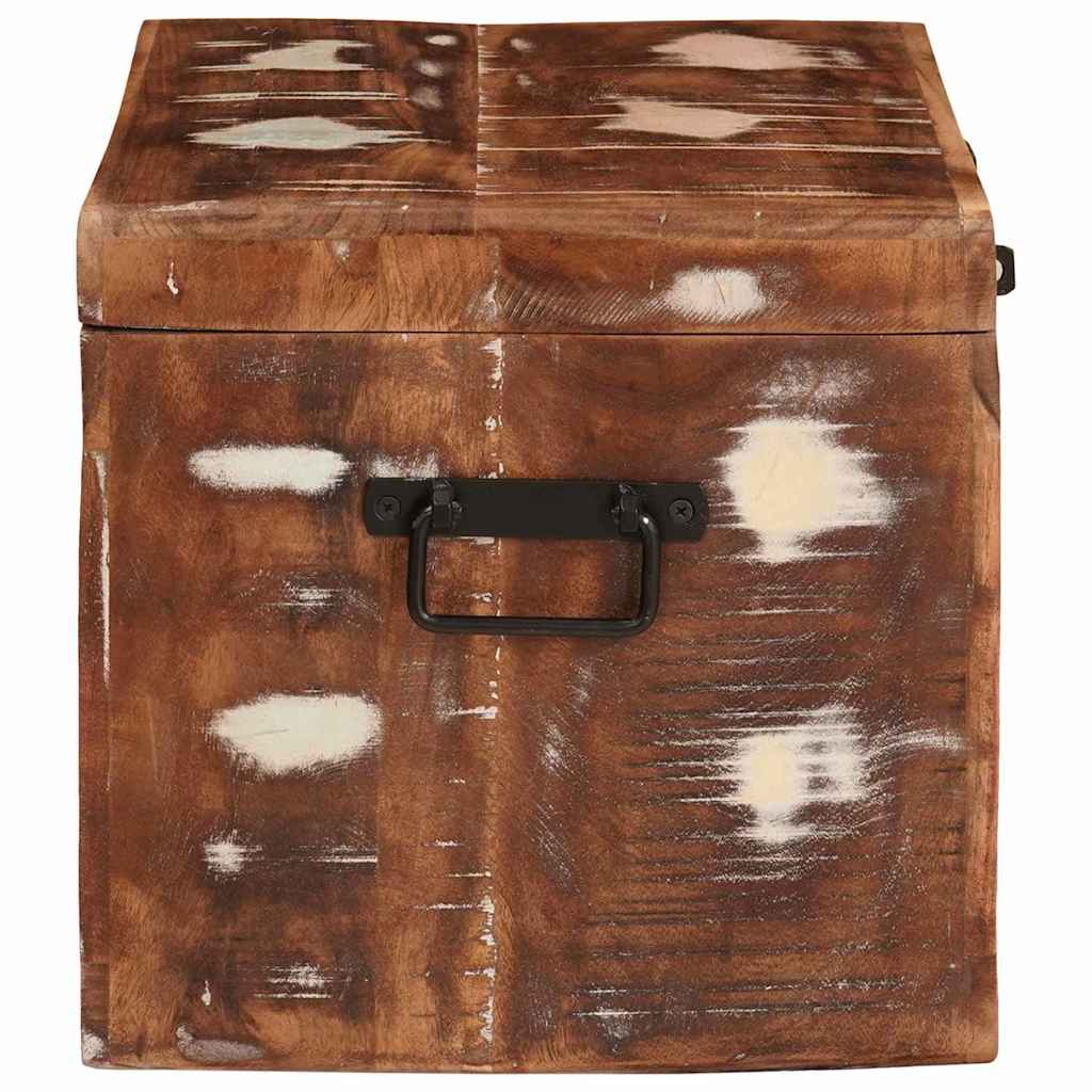 Cutie de depozitare cu blocare Multicolour Lemn masiv reciclat GartenMobel Dekor