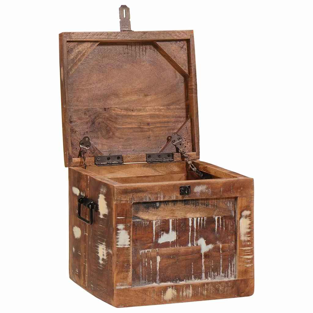 Cutie de depozitare cu blocare Multicolour Lemn masiv reciclat GartenMobel Dekor