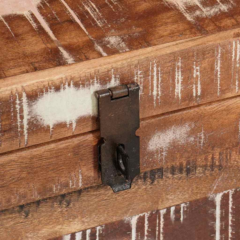 Cutie de depozitare cu blocare Multicolour Lemn masiv reciclat GartenMobel Dekor