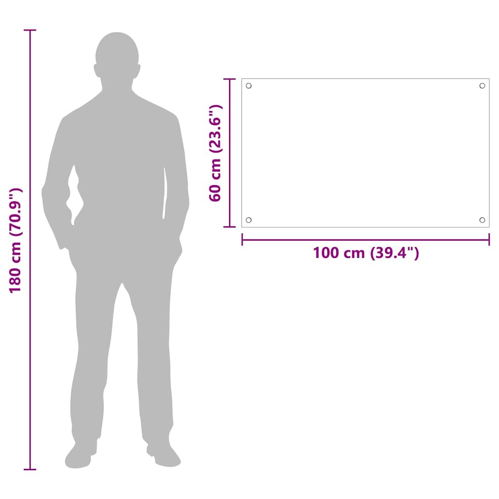 Spate de bucătărie Negru 100 x 60 x 0,8 cm sticlă securizată GartenMobel Dekor