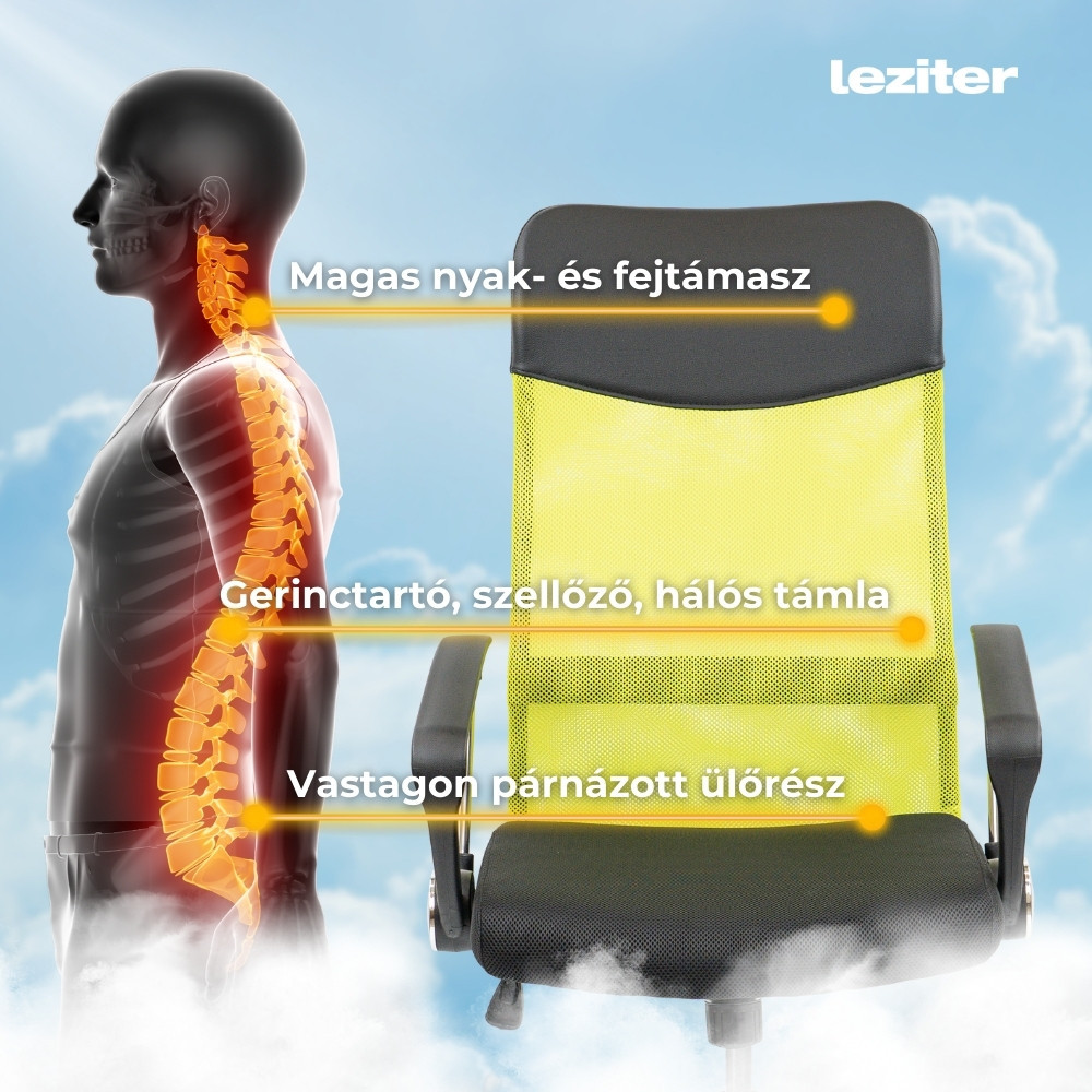 Leziter Scaun rotativ ergonomic de birou Fit, verde Mobalis Homvera