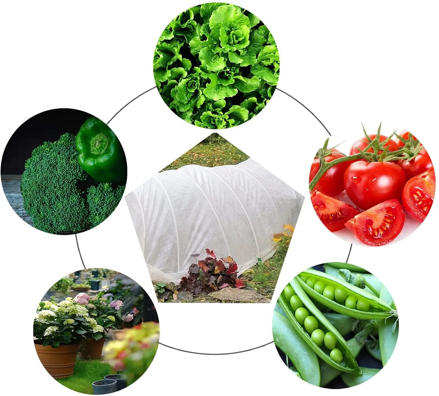 Folie microporoasa agril, anti inghet si daunatori, rola 1.6x20 m, 17 g/mp, camp/sera MultiMark GlobalProd