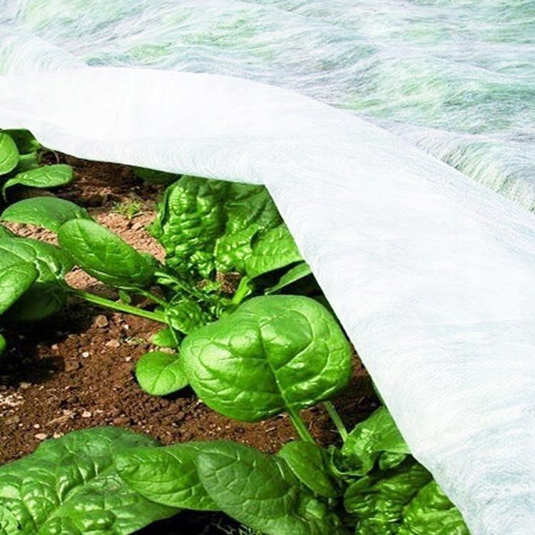 Folie microporoasa anti inghet, 17 g/mp, latime 1.6 m, lungime 10 m, reutilizabila MultiMark GlobalProd