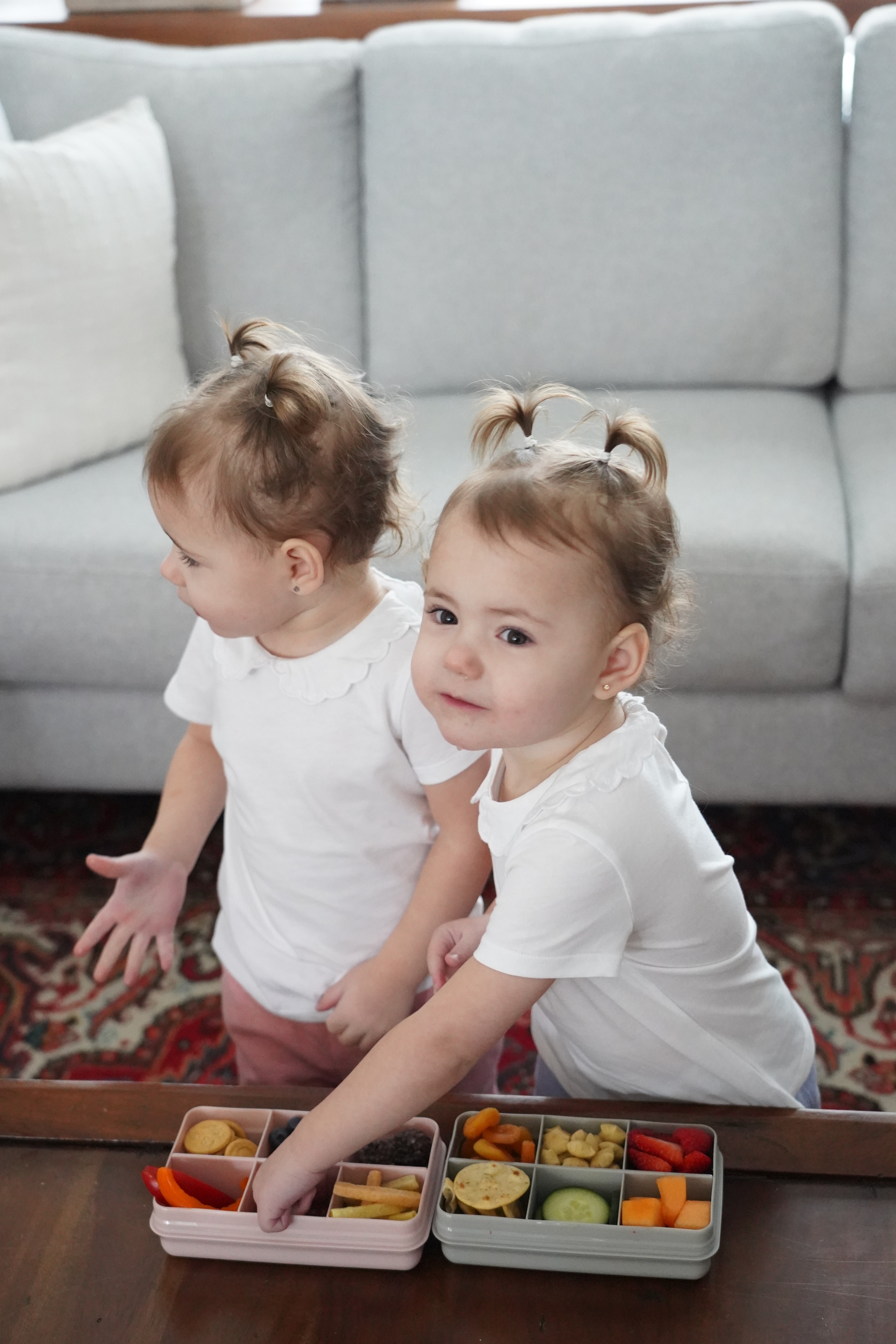 CUTIE SNACK 6 COMPARTIMENTE, MELII, GREY SuperHeroes ToysZone