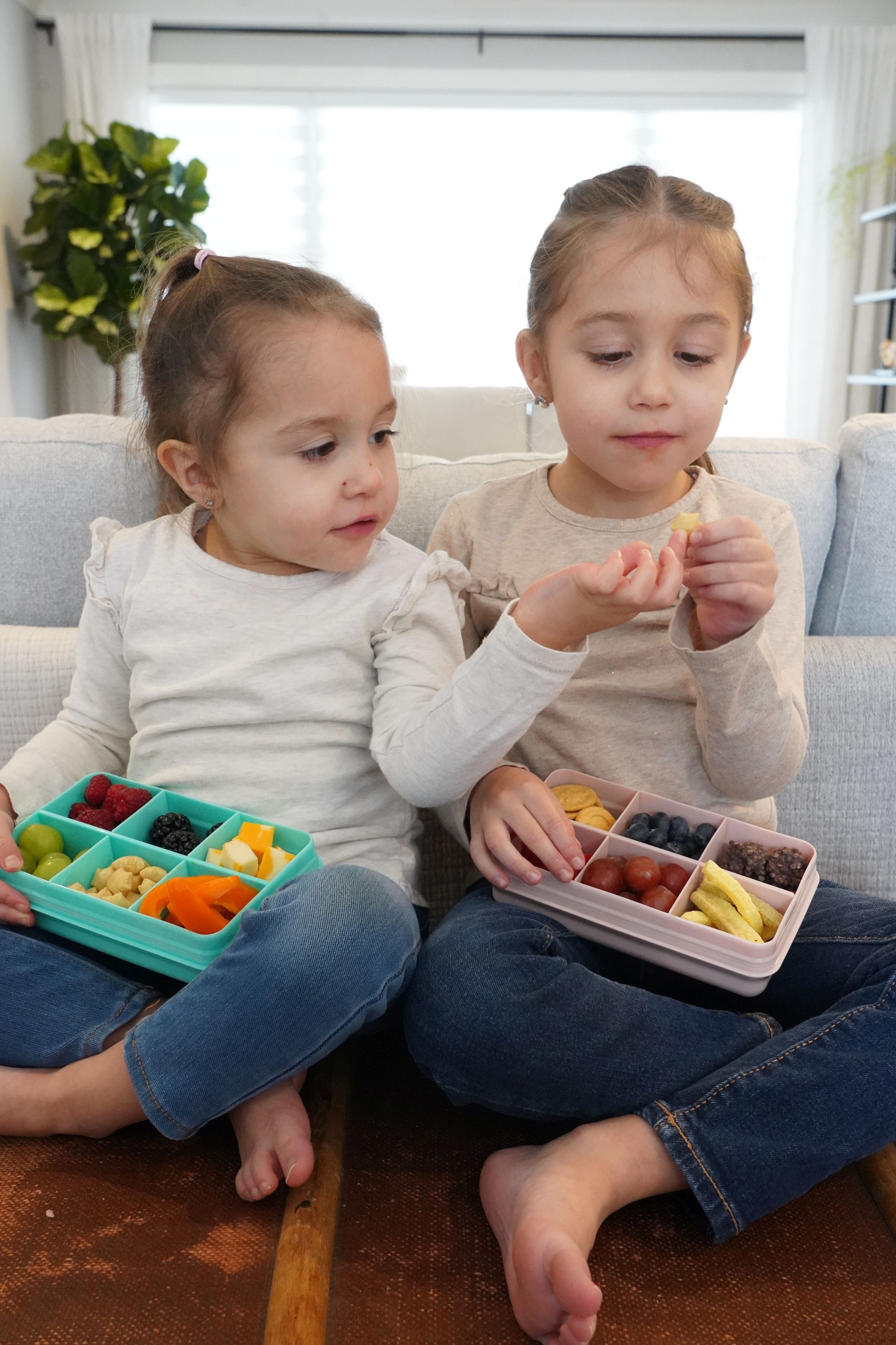 CUTIE SNACK 6 COMPARTIMENTE, MELII, PRINT DINOZAUR SuperHeroes ToysZone