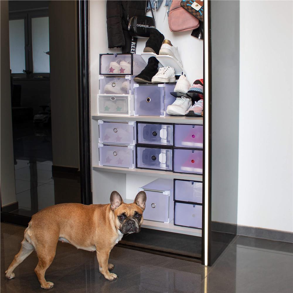 Set 10 cutii organizare pentru pantofi, 34x22x13, transparent Household NewTrend