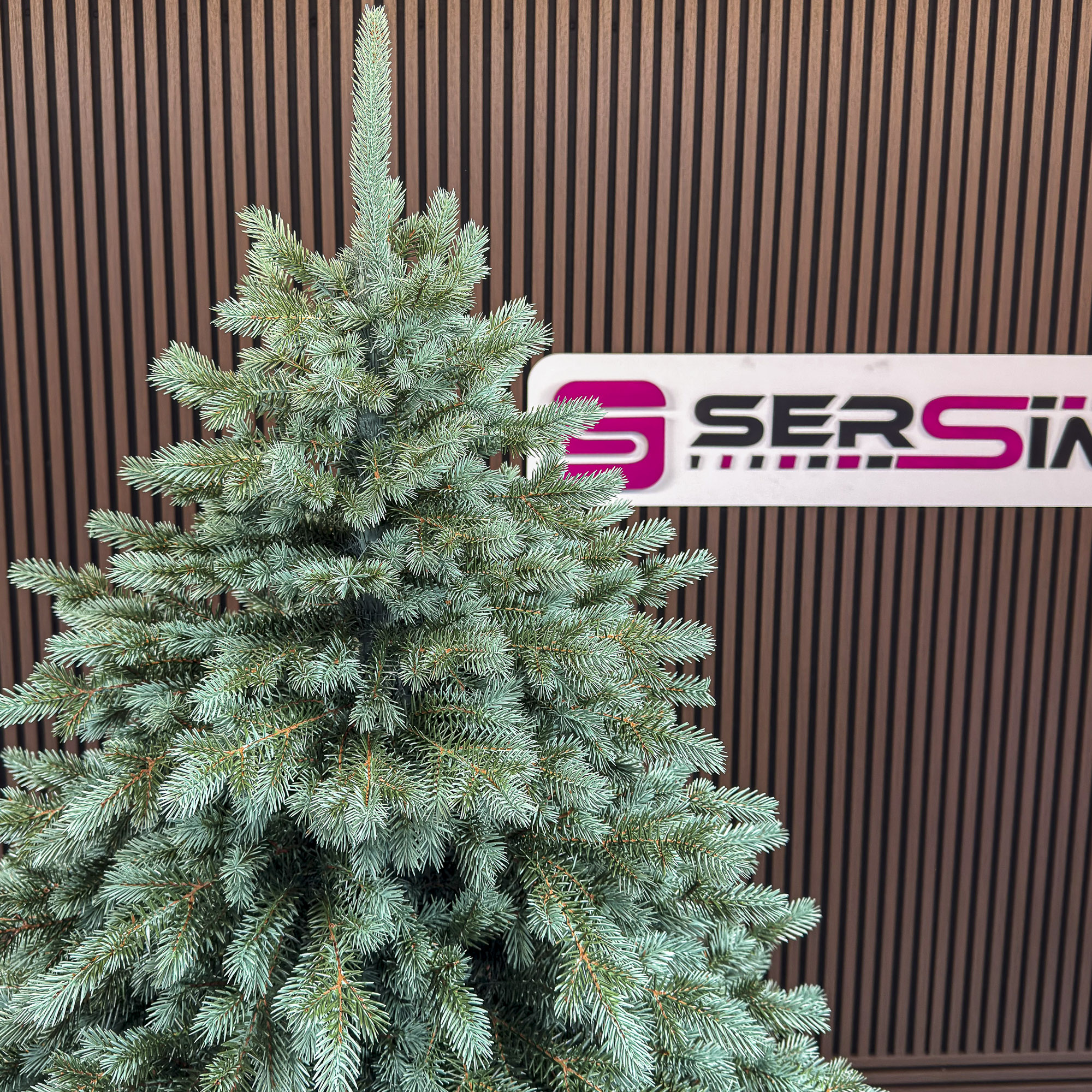 Brad artificial Christmas Deluxe by Sersimo, Alaska Select verde argintiu, integral 3D, 250 cm Household NewTrend