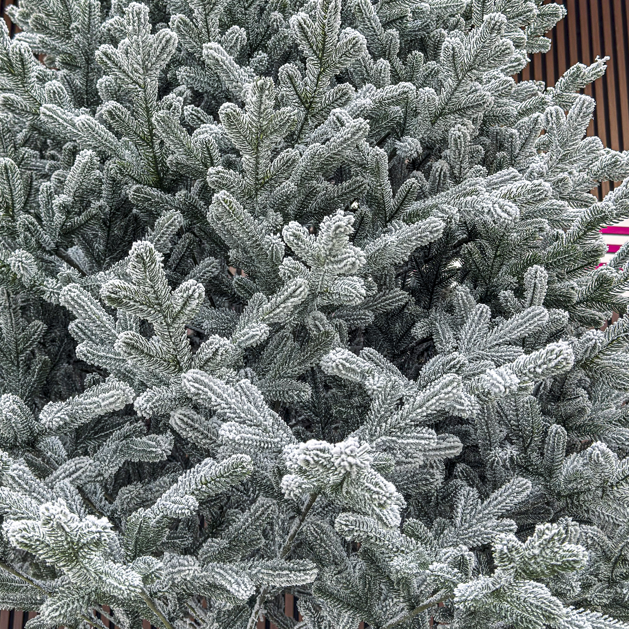 Brad artificial Christmas Deluxe by Sersimo, Viena nins, 3D, 250cm Household NewTrend