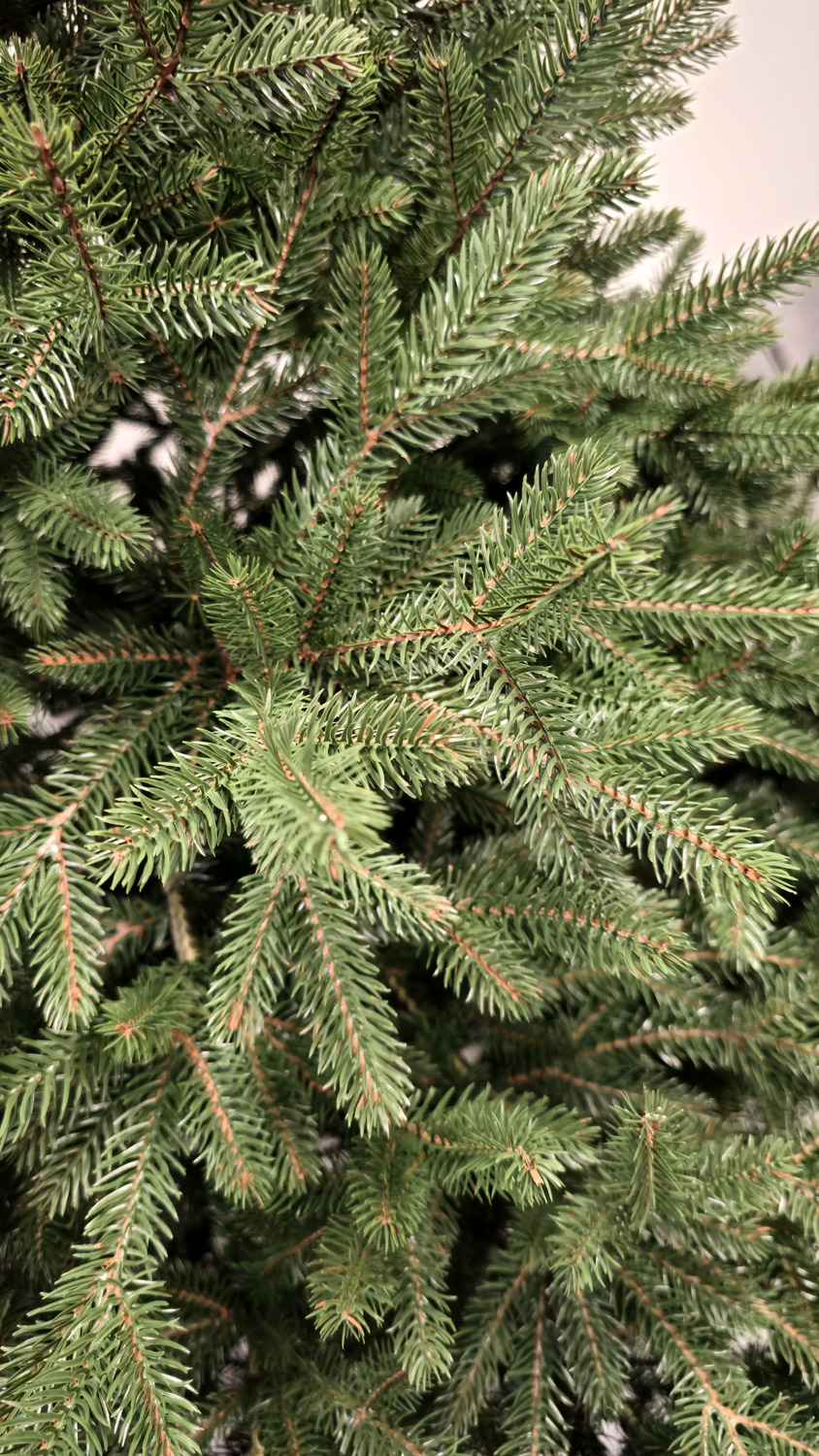 Brad artificial Christmas Deluxe by Sersimo, Alpin Select, integral 3D, 180cm Household NewTrend