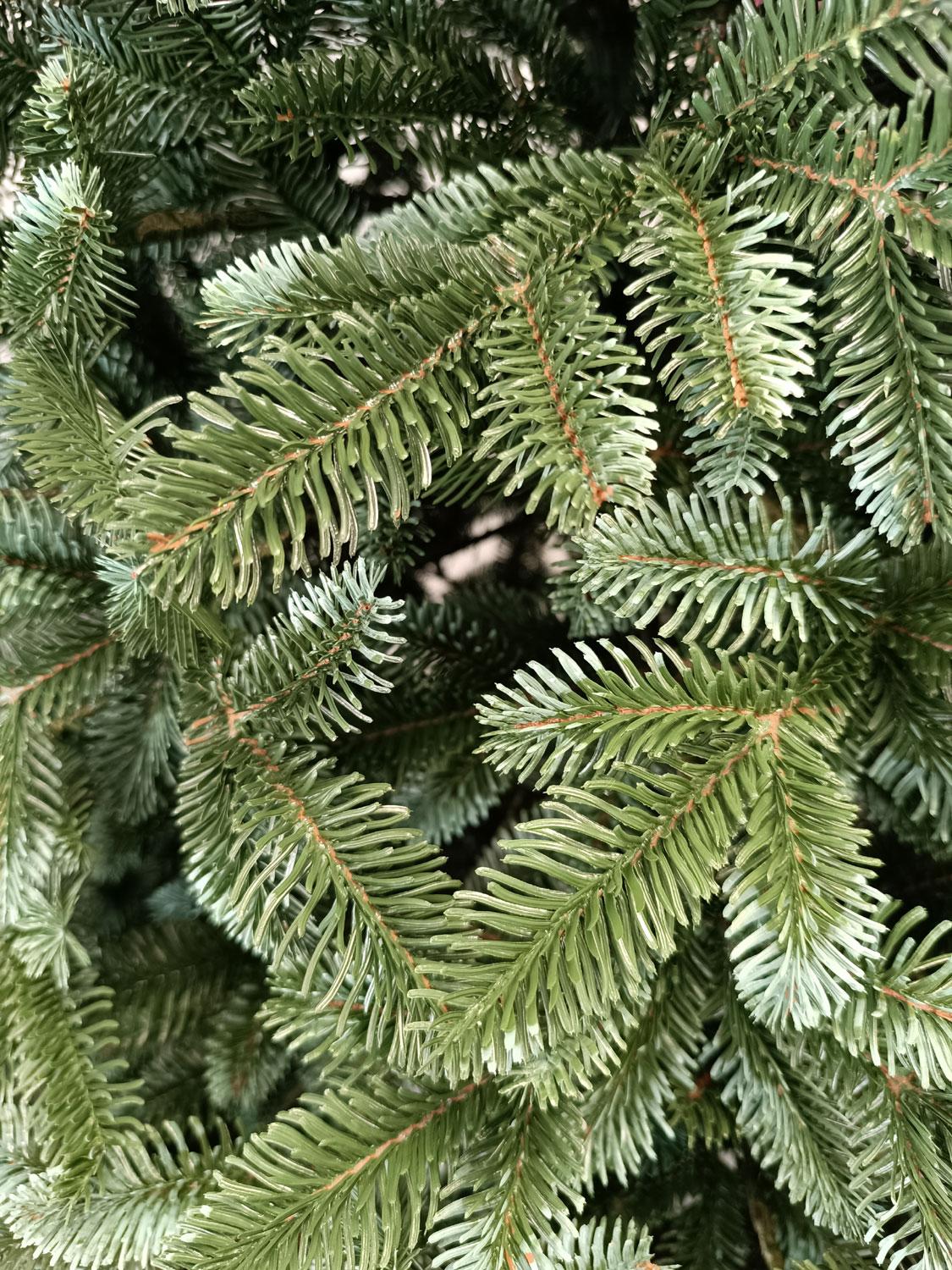 Brad artificial Christmas Deluxe by Sersimo, Canada argintiu, 3D, 230cm Household NewTrend