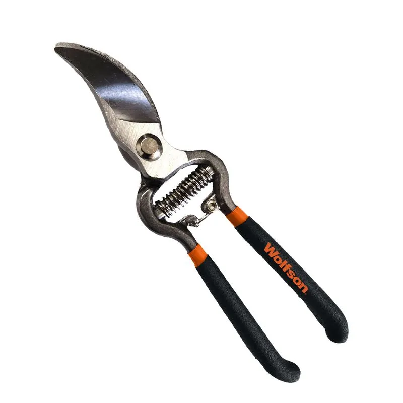 WOLFSON - FOARFECA TAIERE VIE 8.5