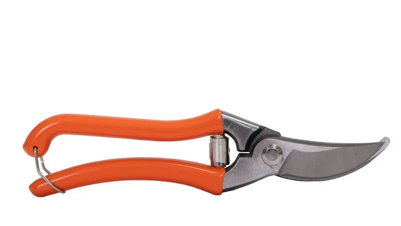 WOLFSON - FOARFECA TAIERE VIE 8.5