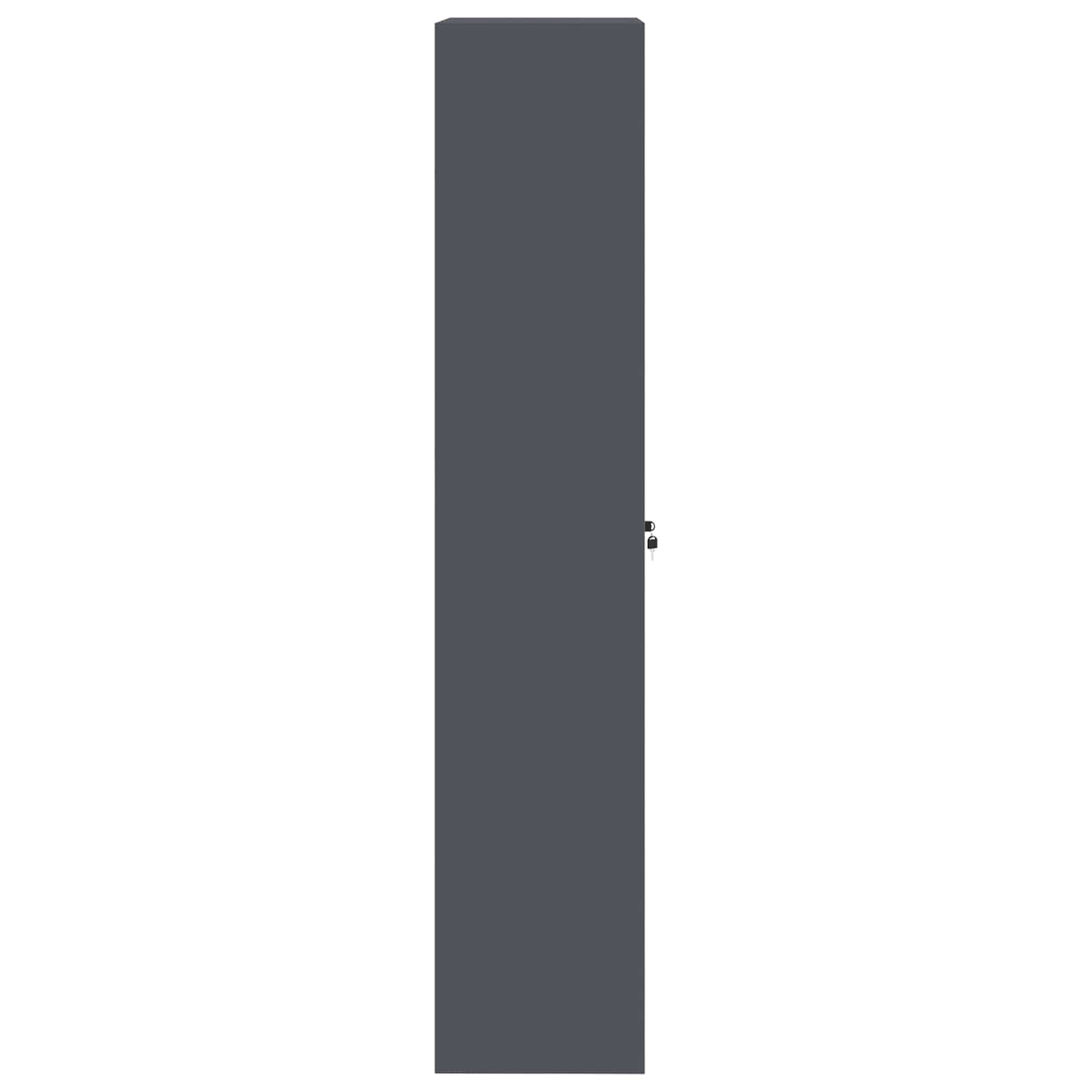 Dulap de depozitare 2 pcs Antracit 60 x 40 x 200 cm GartenMobel Dekor